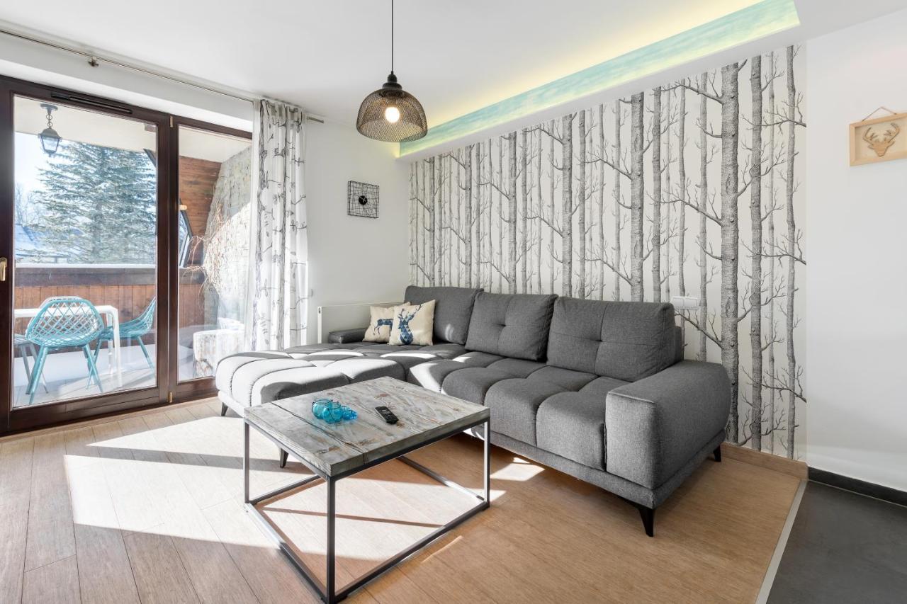 Apartament Scandinavia 자코파네 외부 사진