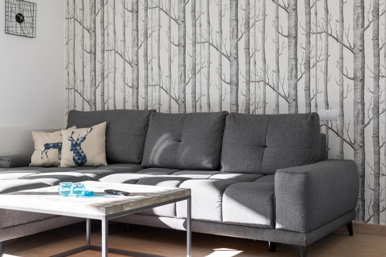 Apartament Scandinavia 자코파네 외부 사진
